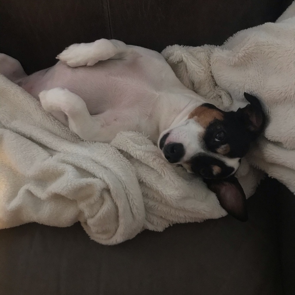 Meet your Posher, Tracy